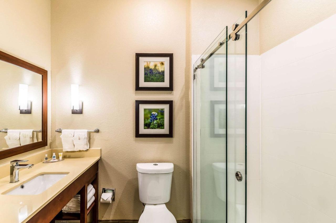 Comfort Suites Grand Prairie - Arlington North Buitenkant foto